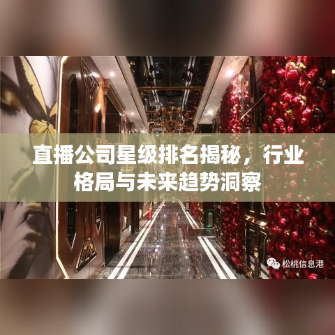 直播公司星级排名揭秘，行业格局与未来趋势洞察