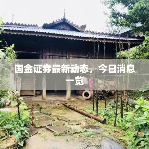 国金证券最新动态，今日消息一览