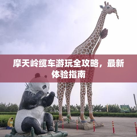 摩天岭缆车游玩全攻略，最新体验指南