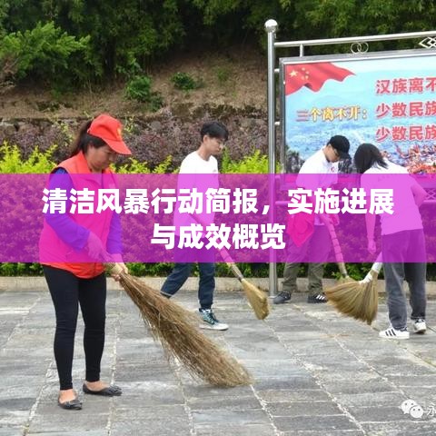 清洁风暴行动简报，实施进展与成效概览