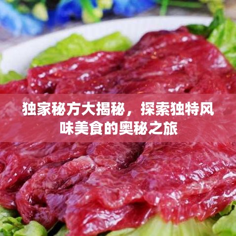 独家秘方大揭秘，探索独特风味美食的奥秘之旅