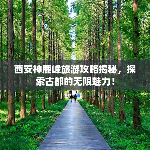 西安神鹿峰旅游攻略揭秘，探索古都的无限魅力！