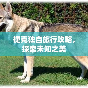 捷克独自旅行攻略，探索未知之美