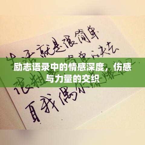 励志语录中的情感深度，伤感与力量的交织