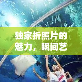 独家折照片的魅力，瞬间艺术尽在其中探索