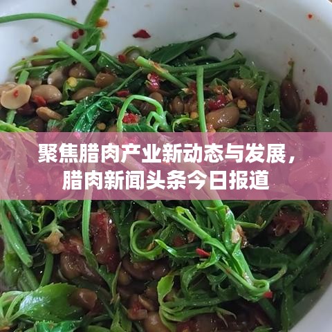 聚焦腊肉产业新动态与发展，腊肉新闻头条今日报道