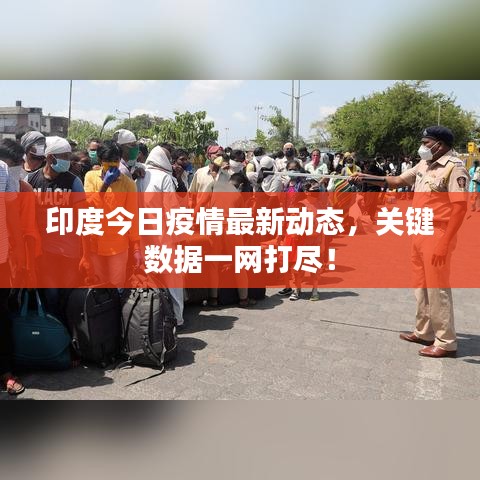 印度今日疫情最新动态，关键数据一网打尽！