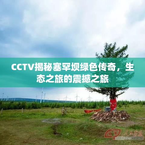 CCTV揭秘塞罕坝绿色传奇，生态之旅的震撼之旅