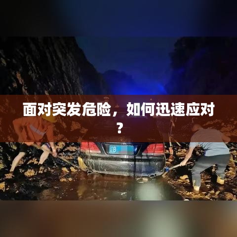 面对突发危险，如何迅速应对？