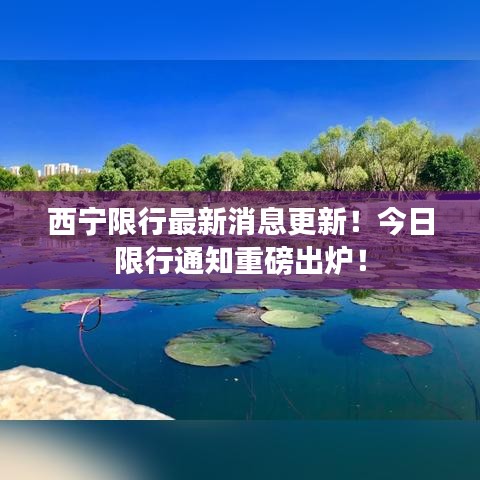 西宁限行最新消息更新！今日限行通知重磅出炉！