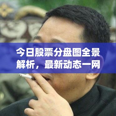 今日股票分盘图全景解析，最新动态一网打尽