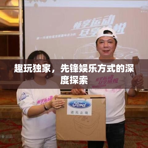 趣玩独家，先锋娱乐方式的深度探索
