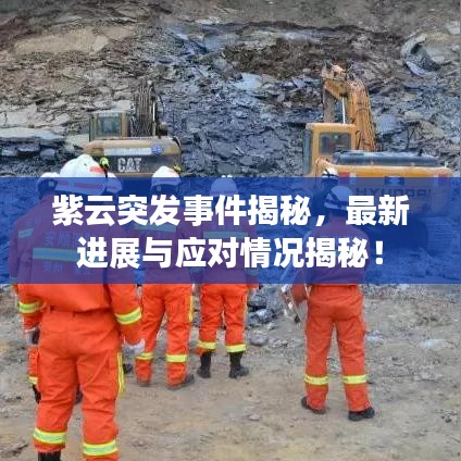 紫云突发事件揭秘，最新进展与应对情况揭秘！