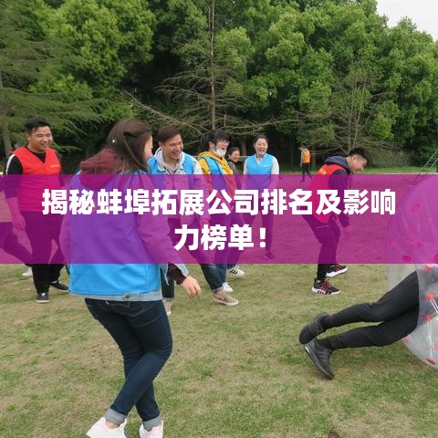 揭秘蚌埠拓展公司排名及影响力榜单！