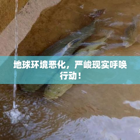 地球环境恶化，严峻现实呼唤行动！