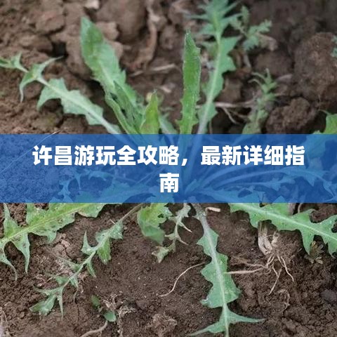 许昌游玩全攻略，最新详细指南