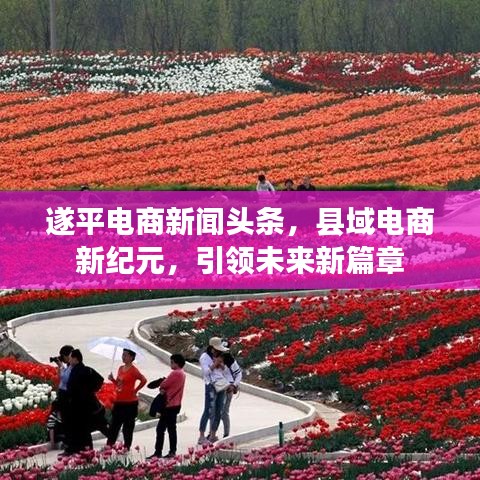 遂平电商新闻头条，县域电商新纪元，引领未来新篇章