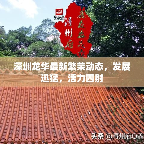 深圳龙华最新繁荣动态，发展迅猛，活力四射
