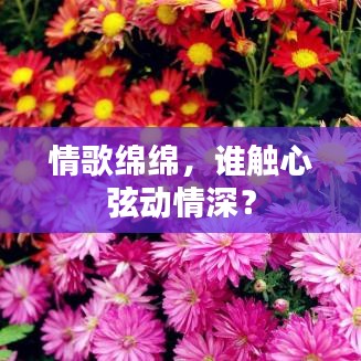 情歌绵绵，谁触心弦动情深？