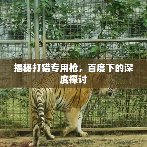 揭秘打猎专用枪，百度下的深度探讨