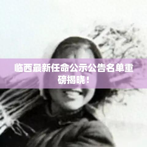 临西最新任命公示公告名单重磅揭晓！