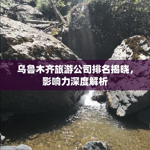 乌鲁木齐旅游公司排名揭晓，影响力深度解析