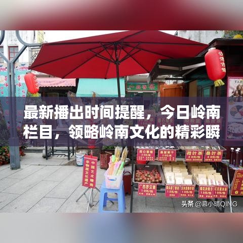 最新播出时间提醒，今日岭南栏目，领略岭南文化的精彩瞬间