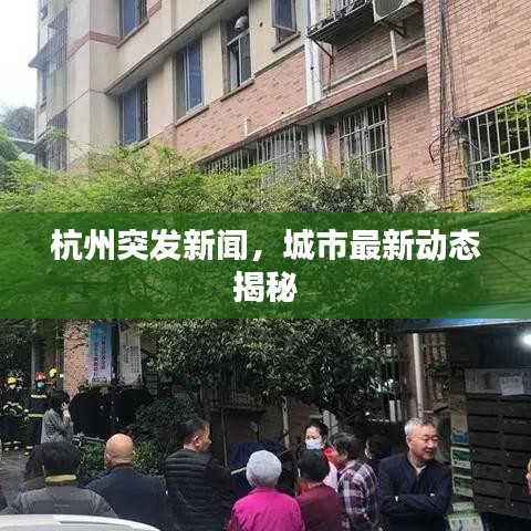 杭州突发新闻，城市最新动态揭秘