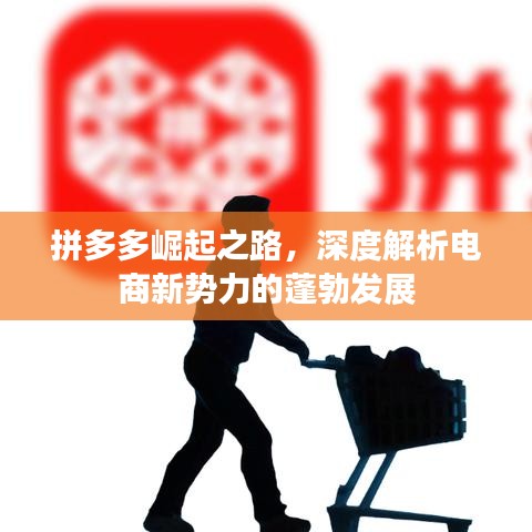 拼多多崛起之路，深度解析电商新势力的蓬勃发展