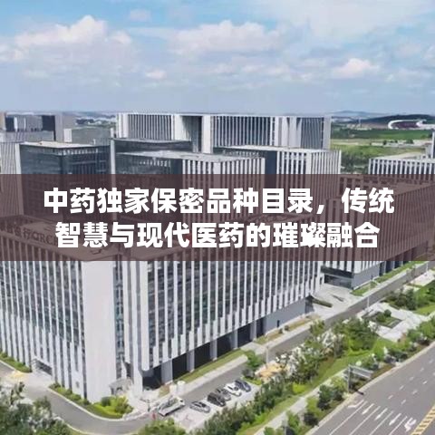中药独家保密品种目录，传统智慧与现代医药的璀璨融合