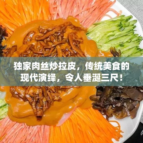 独家肉丝炒拉皮，传统美食的现代演绎，令人垂涎三尺！