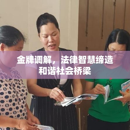 金牌调解，法律智慧缔造和谐社会桥梁