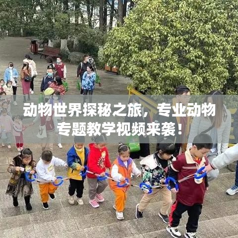 动物世界探秘之旅，专业动物专题教学视频来袭！