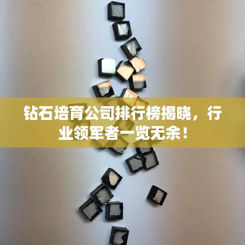 不拘小节 第2页