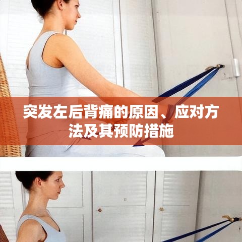 突发左后背痛的原因、应对方法及其预防措施