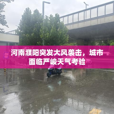 河南濮阳突发大风袭击，城市面临严峻天气考验
