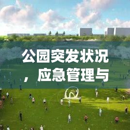 公园突发状况，应急管理与公众安全的紧密交汇点