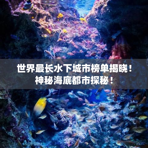 世界最长水下城市榜单揭晓！神秘海底都市探秘！