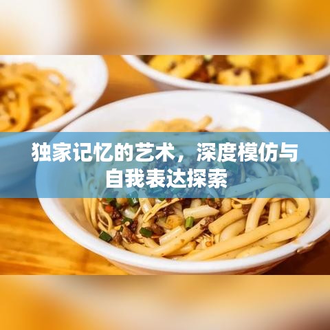 独家记忆的艺术，深度模仿与自我表达探索