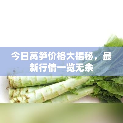 今日莴笋价格大揭秘，最新行情一览无余