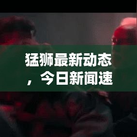 猛狮最新动态，今日新闻速递
