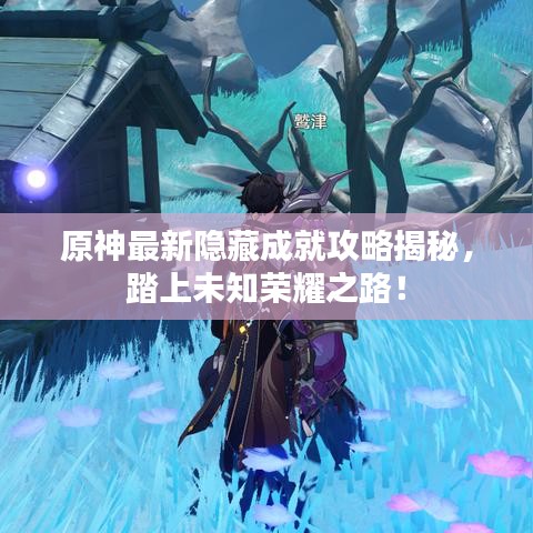 原神最新隐藏成就攻略揭秘，踏上未知荣耀之路！