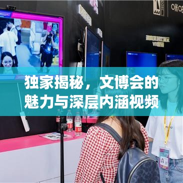 独家揭秘，文博会的魅力与深层内涵视频欣赏