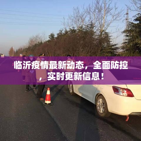 临沂疫情最新动态，全面防控，实时更新信息！