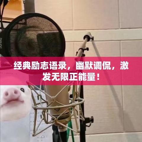 经典励志语录，幽默调侃，激发无限正能量！