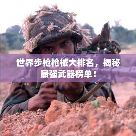 世界步枪枪械大排名，揭秘最强武器榜单！