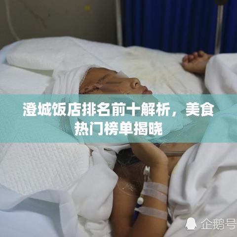 澄城饭店排名前十解析，美食热门榜单揭晓
