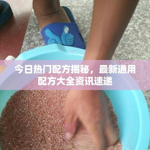 今日热门配方揭秘，最新通用配方大全资讯速递