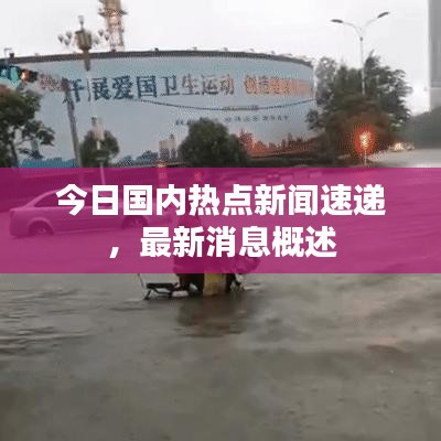 今日国内热点新闻速递，最新消息概述