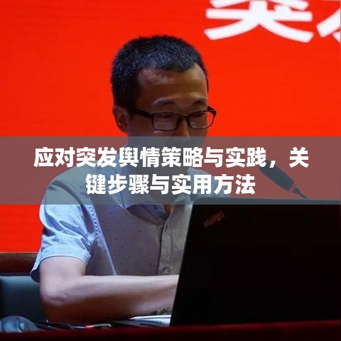 应对突发舆情策略与实践，关键步骤与实用方法
